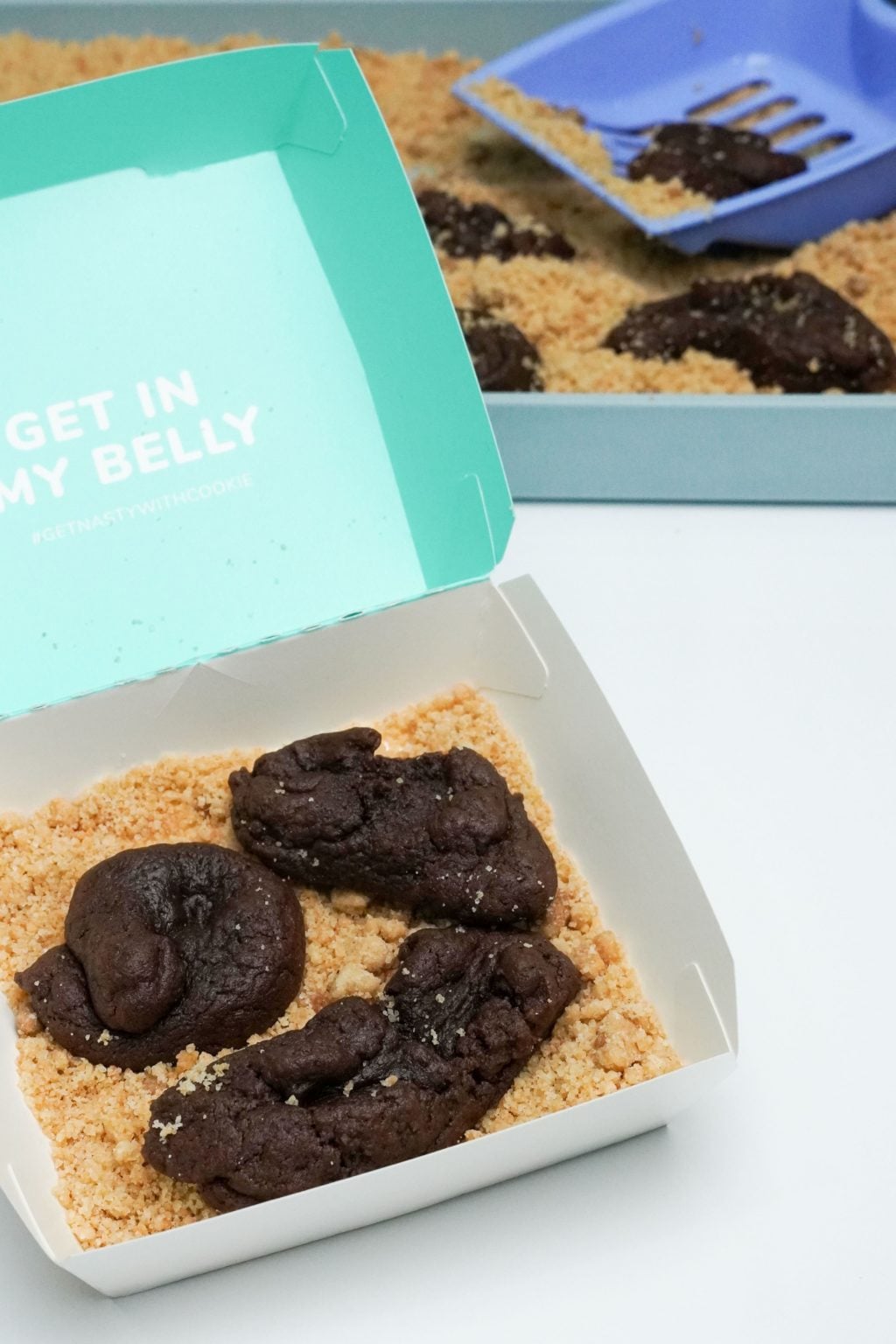 Nasty Cookie Brownies Resemble Cat Poop In Litter, Will Confuse Your