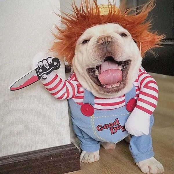 This Chucky Costume Will Give Your Dog A Killer Look For Halloween