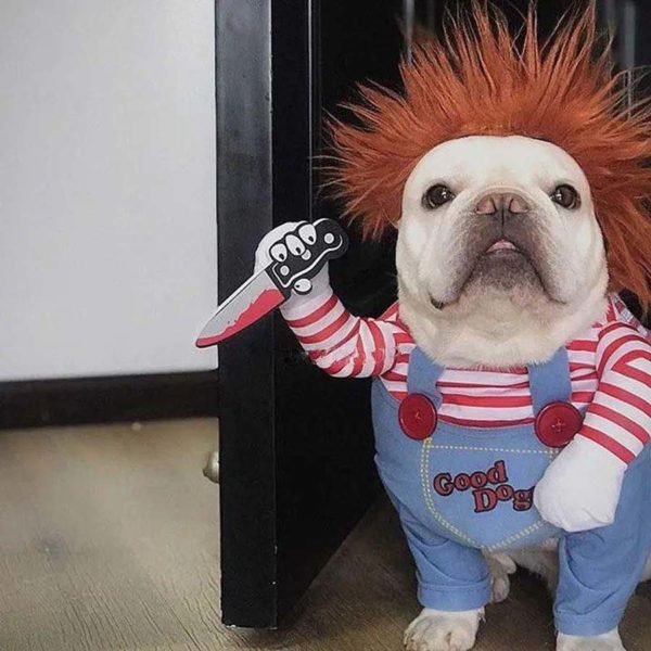 This Chucky Costume Will Give Your Dog A Killer Look For Halloween