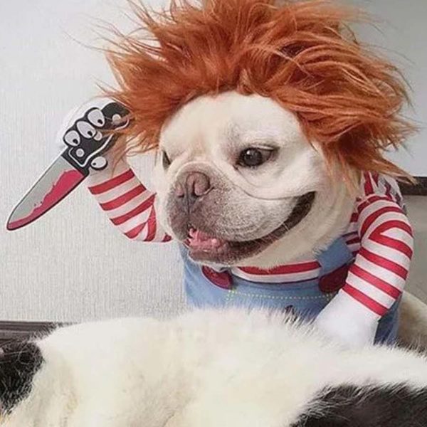 This Chucky Costume Will Give Your Dog A Killer Look For Halloween