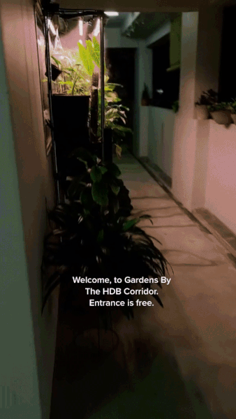 space-age garden