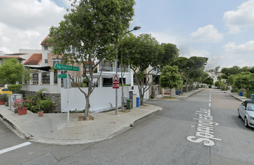 2 Girls Aged 18 & 19 Missing Since 11 Nov, Last Seen Near Springleaf Avenue