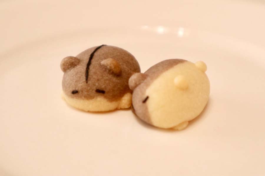 sleepy hamster cookies