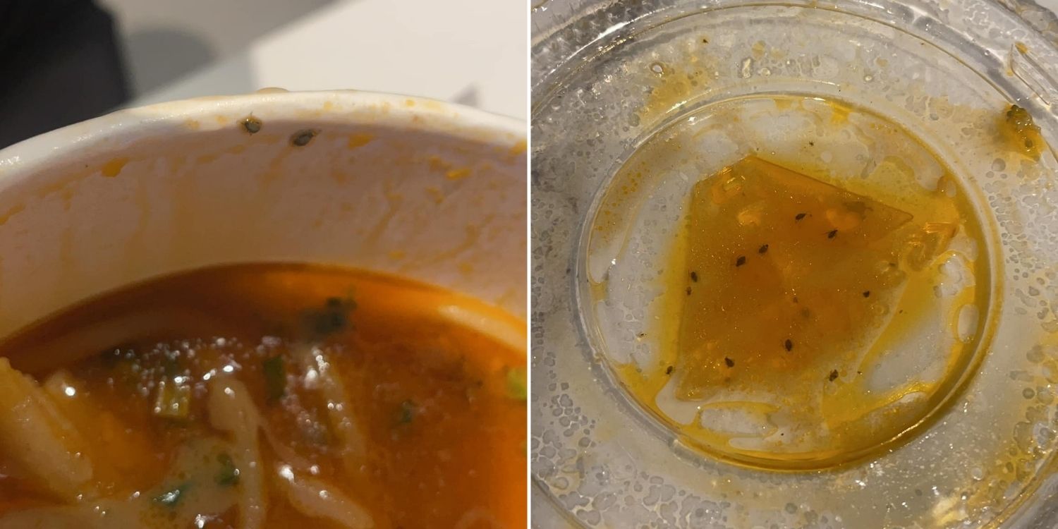 Customer Allegedly Finds Bugs In Shi Li Fang Order, Hotpot Restaurant Offers Compensation