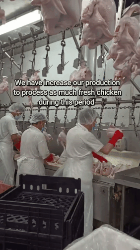 chicken supplier ban