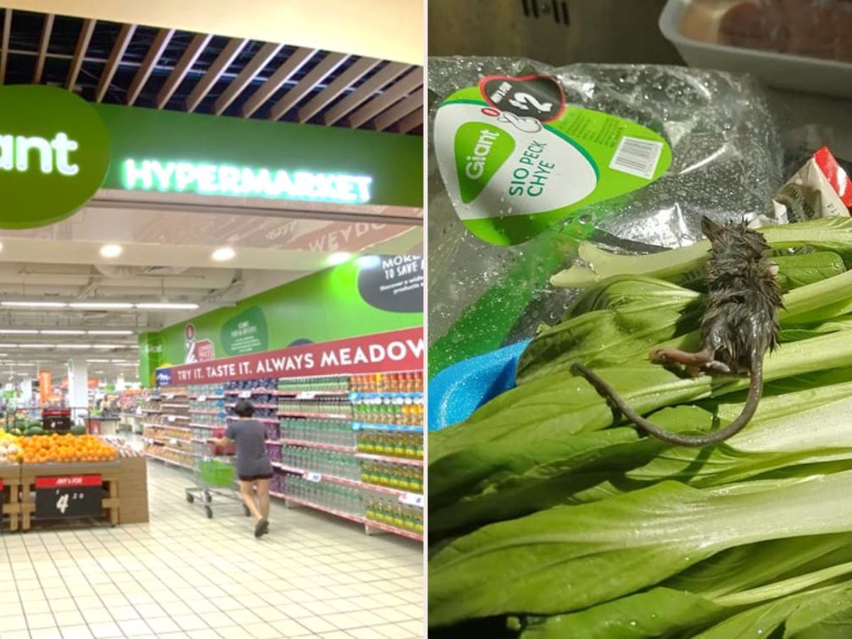 Dead Rat Found In Pack Of Vegetables 