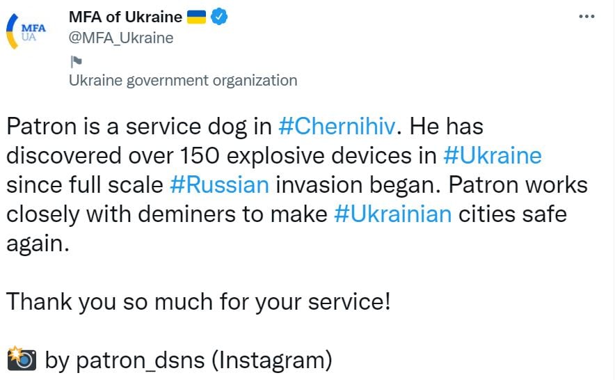 tweet-of-ukraine-bomb-sniffing-dog.jpg