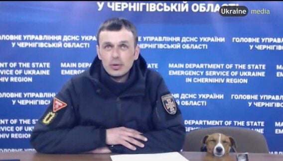 ukraine-bomb-sniffing-dog.jpg
