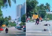 Penang Motorcycle Passenger Injured After Coconut Falls & Hits Head, Authorities To Cut Down Trees