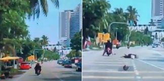 Penang Motorcycle Passenger Injured After Coconut Falls & Hits Head, Authorities To Cut Down Trees