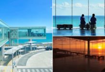 Japan Railway Station Has Glass Walls With Sea Views, Perfect For Watching Sunsets