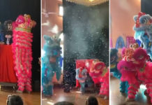 Gender Reveal Party In Australia Has A Chinese Twist, Tiny Lion Dance Costume Steals Hearts