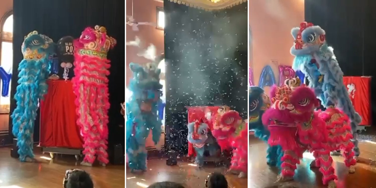 Gender Reveal Party In Australia Has A Chinese Twist, Tiny Lion Dance Costume Steals Hearts