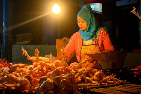 importing chicken indonesia 