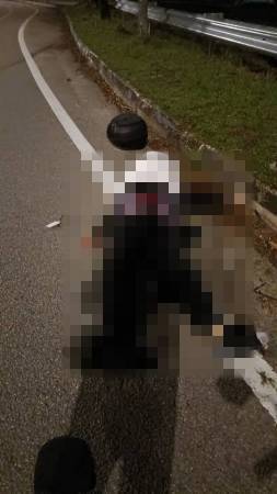 bus driver Johor dead