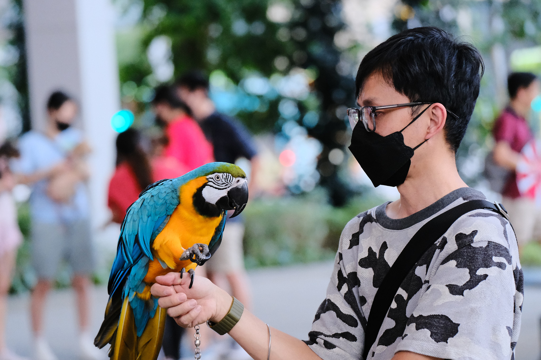 Birdies and Friends, a special event organised at SingaPaw Weekend.