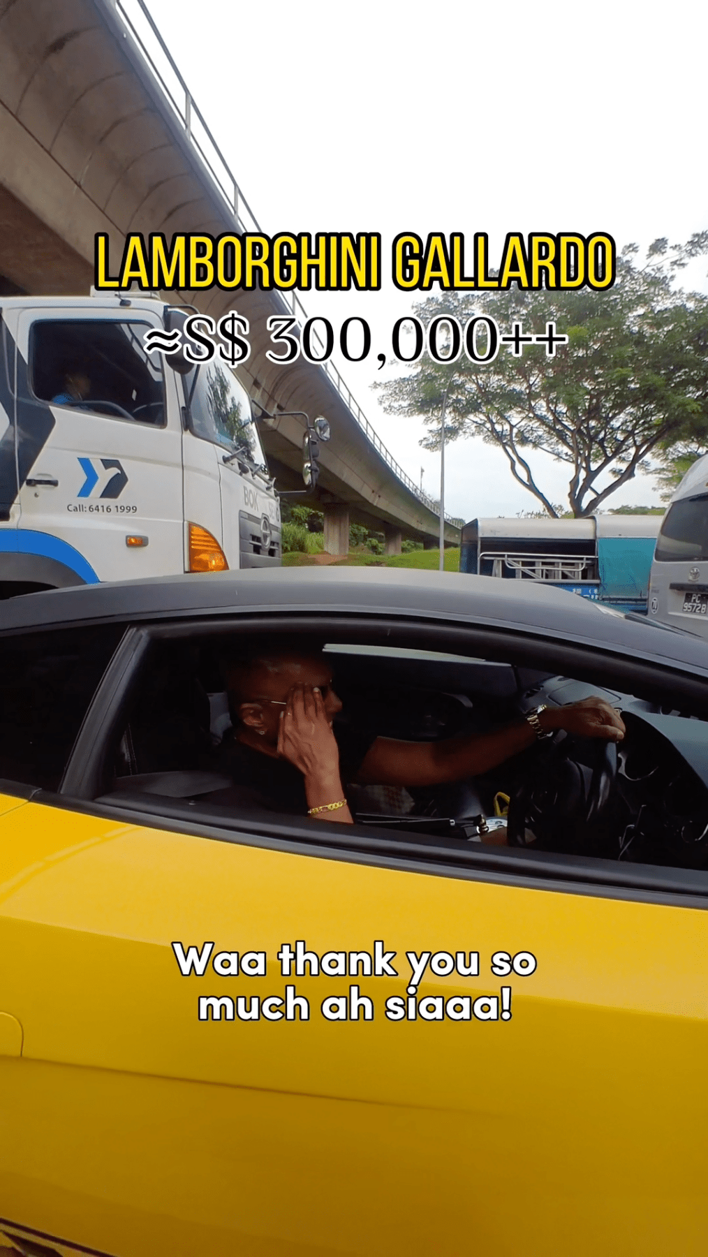 Lamborghini driver unemployed