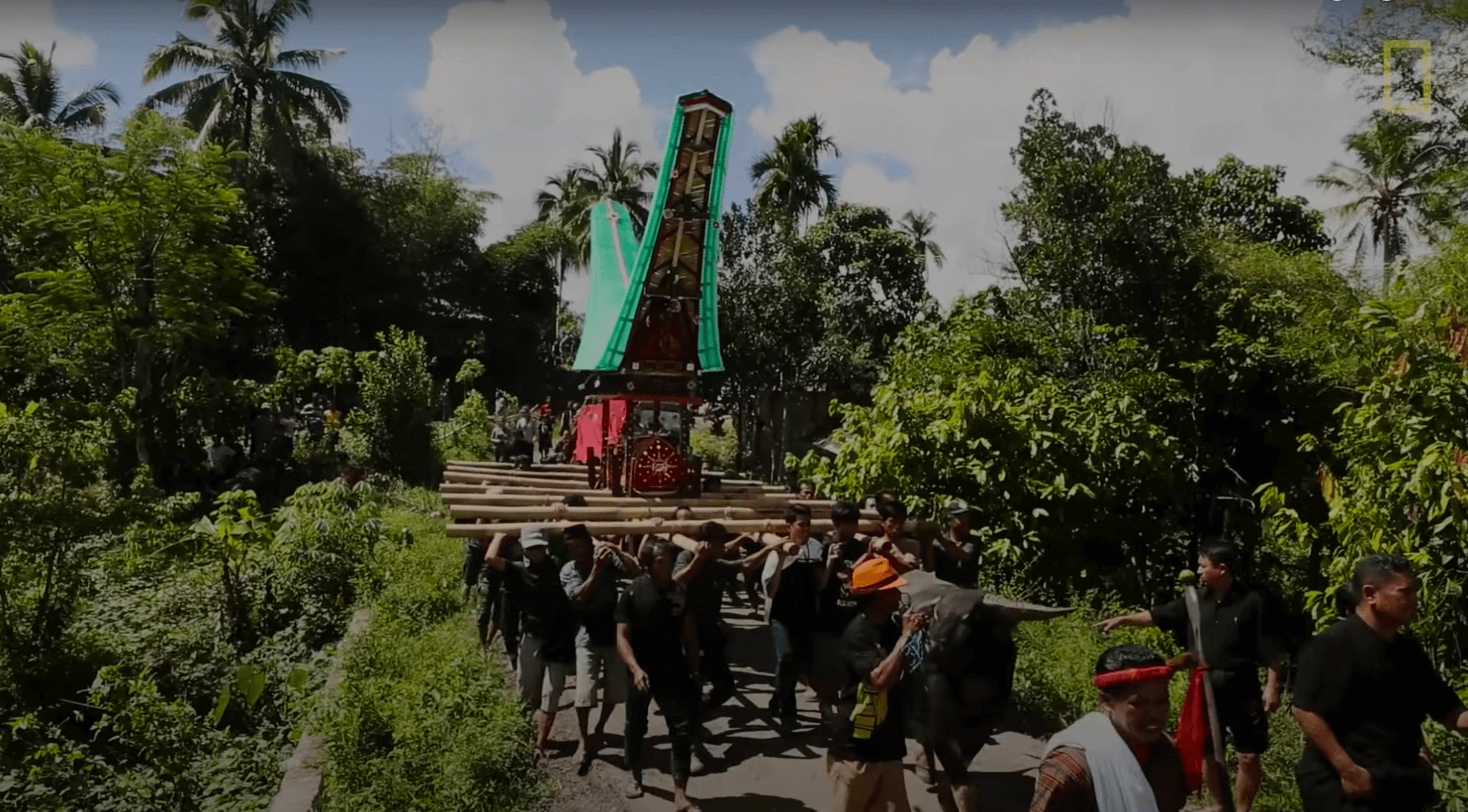 Indonesian festival corpses
