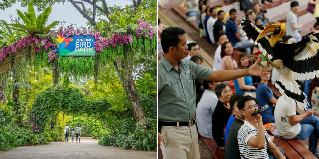 Jurong Bird Park Closing After 52 Years, Will Relocate To Mandai After