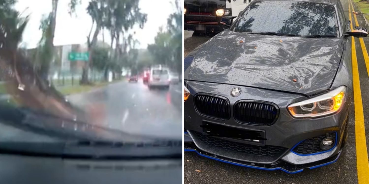 Tree Branches Fall On Car After Lightning Strikes In Upp Thomson, Driver  Counts His Lucky Stars