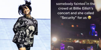 Billie Eilish Calls Security For Fan Who Passed Out At S’pore Concert