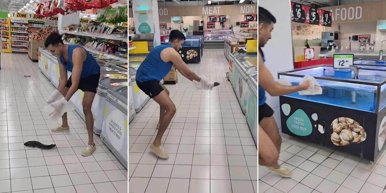 Man Bravely Rescues Flapping Fish On Giant Supermarket Floor