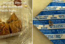 S'pore Woman Finds Glass In Bak Kwa Mooncake, Company Apologises & Offers Assistance