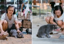 Feeding Queenstown's Community Cats Helped This Woman Get Through A Dark Time In Her Life