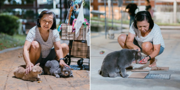 Feeding Queenstown's Community Cats Helped This Woman Get Through A Dark Time In Her Life