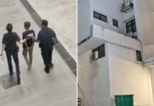 Theft Suspect Climbs Onto Bedok HDB Ledge To Escape Police, Gets Compared To Spider-Man