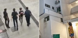 Theft Suspect Climbs Onto Bedok HDB Ledge To Escape Police, Gets Compared To Spider-Man