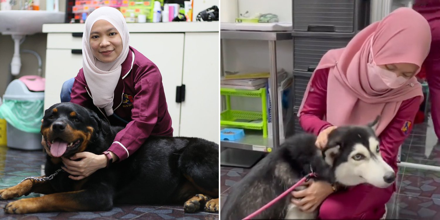 Muslim Vet Treats Dogs Despite Stigma, Says Caring For All Animals Is Her  Passion