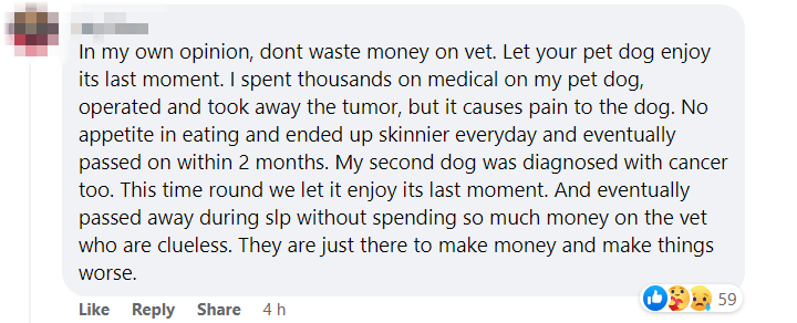 dog owner vet bills