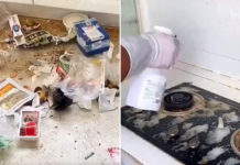 M'sia Tenants Leave Rented Unit In Filthy Condition, Disinfecting Process Looks Like Trauma Cleaning