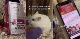 S'porean Family Holds Funeral For Pet Hamster With Buddhist Chants & ART Kit Coffin