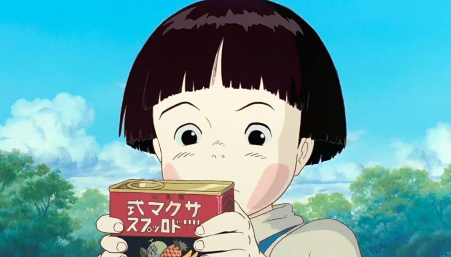 Grave of the Fireflies Fruit Drops – Ghibli Museum Store