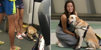Passenger Complains About Paralympic Swimmer Bringing Guide Dog Into MRT, Owner Clarifies Misconceptions