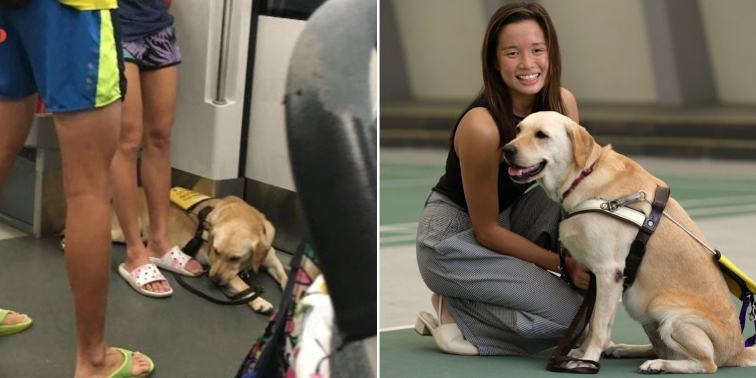 Passenger Complains About Paralympic Swimmer Bringing Guide Dog Into MRT, Owner Clarifies Misconceptions
