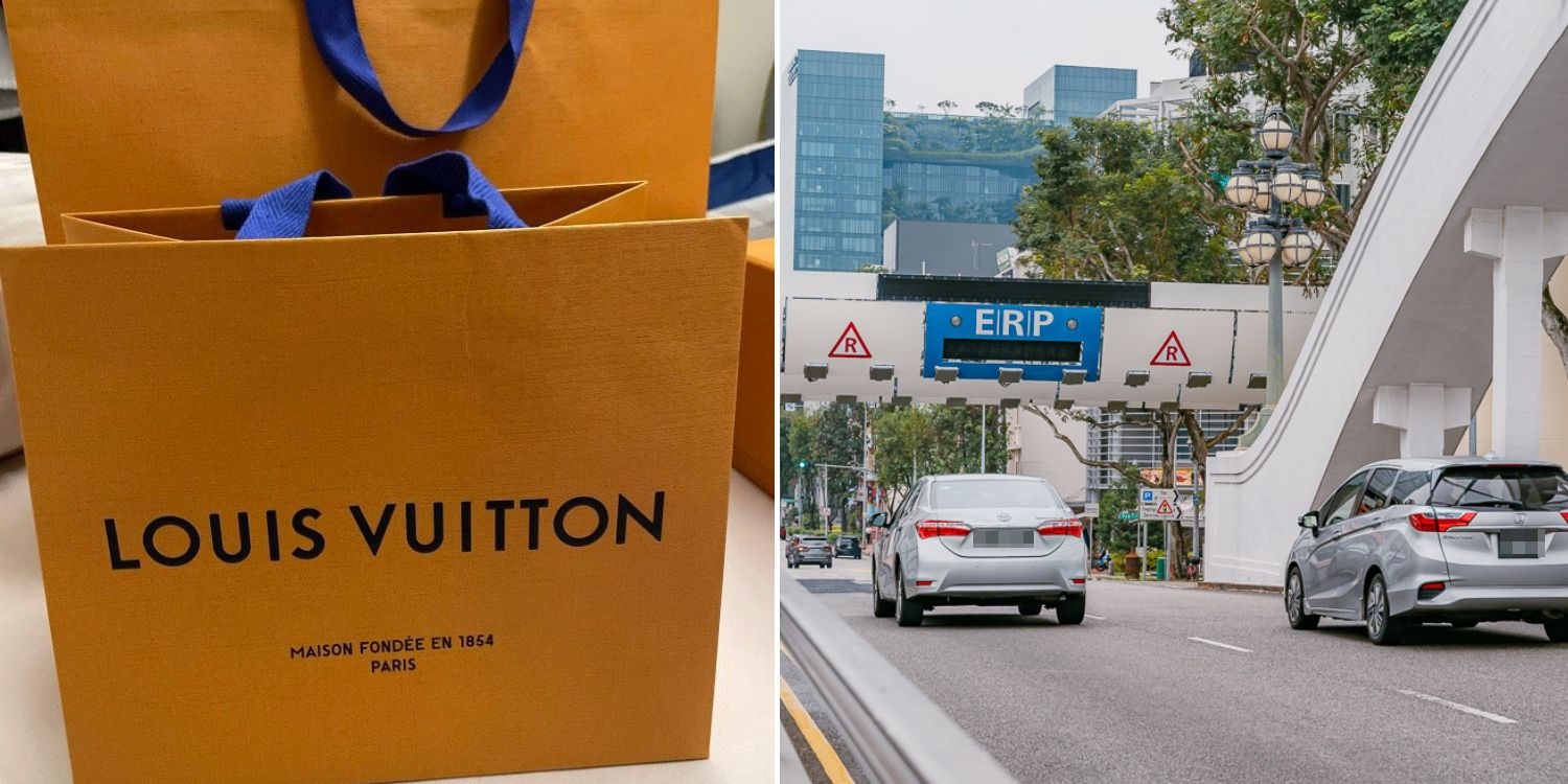 Woman allegedly left Louis Vuitton paper bag containing $30k cash