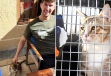 England & Man City Teammates Adopt Qatar Stray Cat, It’s Now Heading To UK With Them