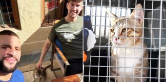 England & Man City Teammates Adopt Qatar Stray Cat, It’s Now Heading To UK With Them