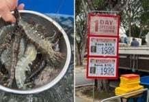 FairPrice Truck Sells Live Tiger Prawns At S$19.90/kg, Shop For CNY Reunion Dinner