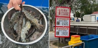 FairPrice Truck Sells Live Tiger Prawns At S$19.90/kg, Shop For CNY Reunion Dinner