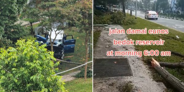 Man Crashes Car Into Lamppost & Trees At Bedok Reservoir, Succumbs To Injuries In Hospital