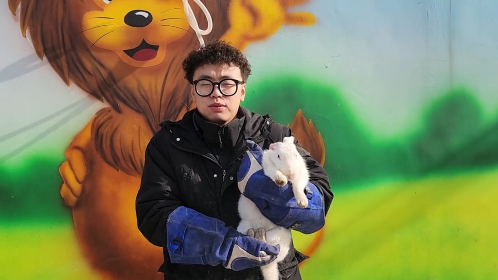 China Zoo Tiger Attacks Rabbit During CNY Ceremony, Bunny Seemingly ...