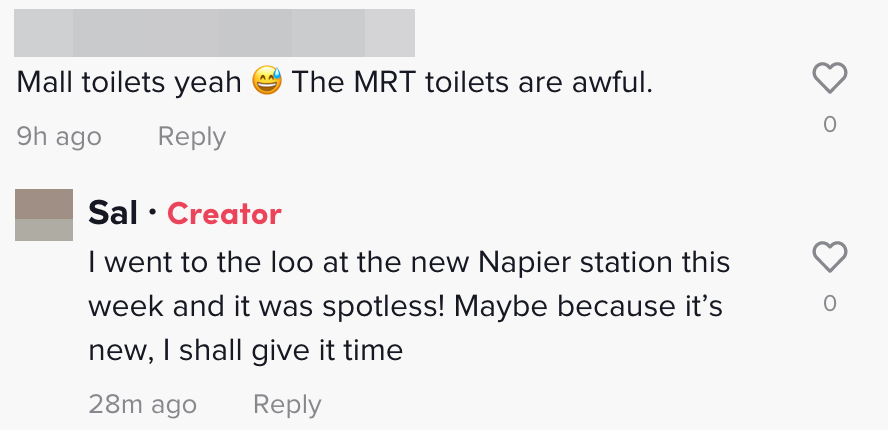 expat praises Singapore toilets