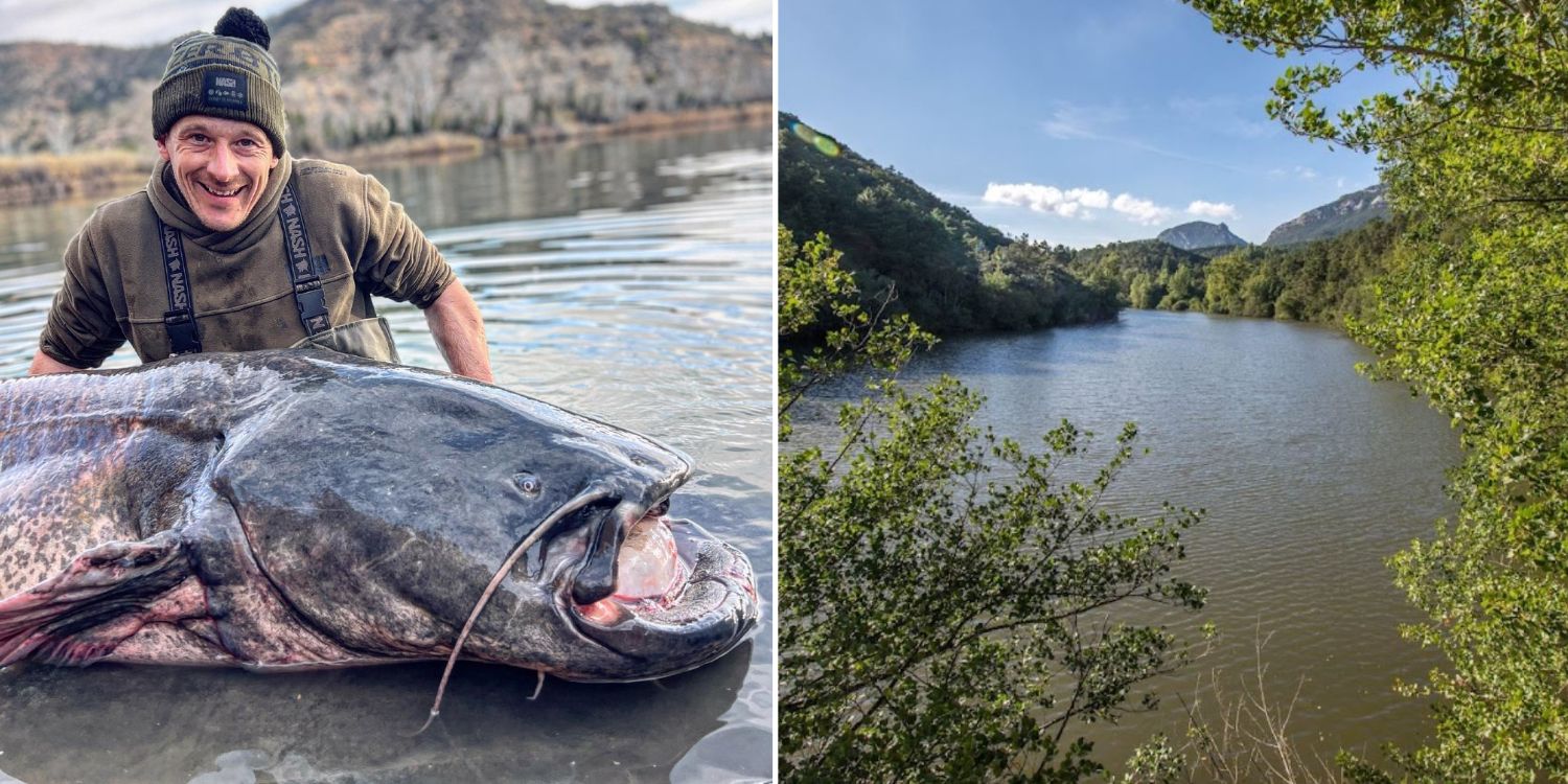 Pescador publica una captura monstruosa después de capturar 100 kg de bagre en un río español