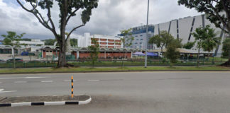 worker Marsiling dead roof