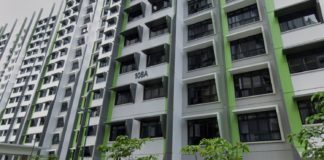 2-Year-Old Bidadari Flat Rented Out For S$4.1K/Month, Owners Were Posted Overseas