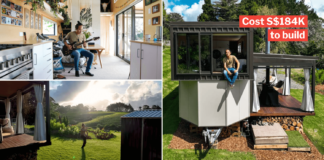 S'pore-Born Man Designs Tiny House In New Zealand That Resembles Zen Garden With Plants & Animals